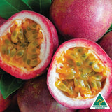 Argan Vegan Body Wash - Passionfruit